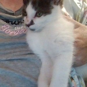 Meet your Posher, Linda